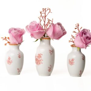 Kit Vaso Petit Coleção "Jardim de Xangai" 12 cm 3 Peças