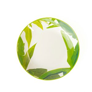 Kit Prato Fundo Coleção Mata Atlântica 12 Peças