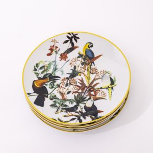 Kit Prato Fundo Coleção Brasil Ilustrado 12 Peças