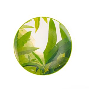 Kit Prato De Sobremesa Coleção Mata Atlântica 12 Peças