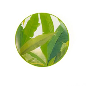 Prato Raso Coleção Mata Atlântica