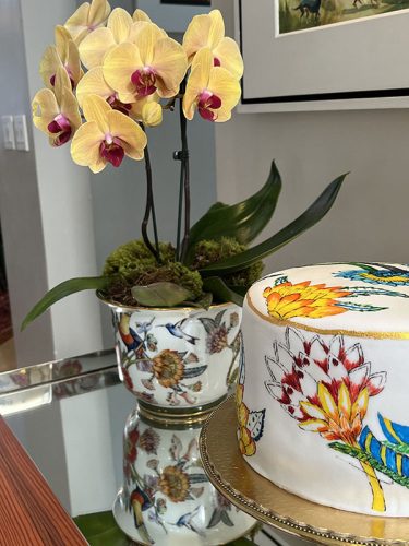 Coleção Japonsesa Botanic